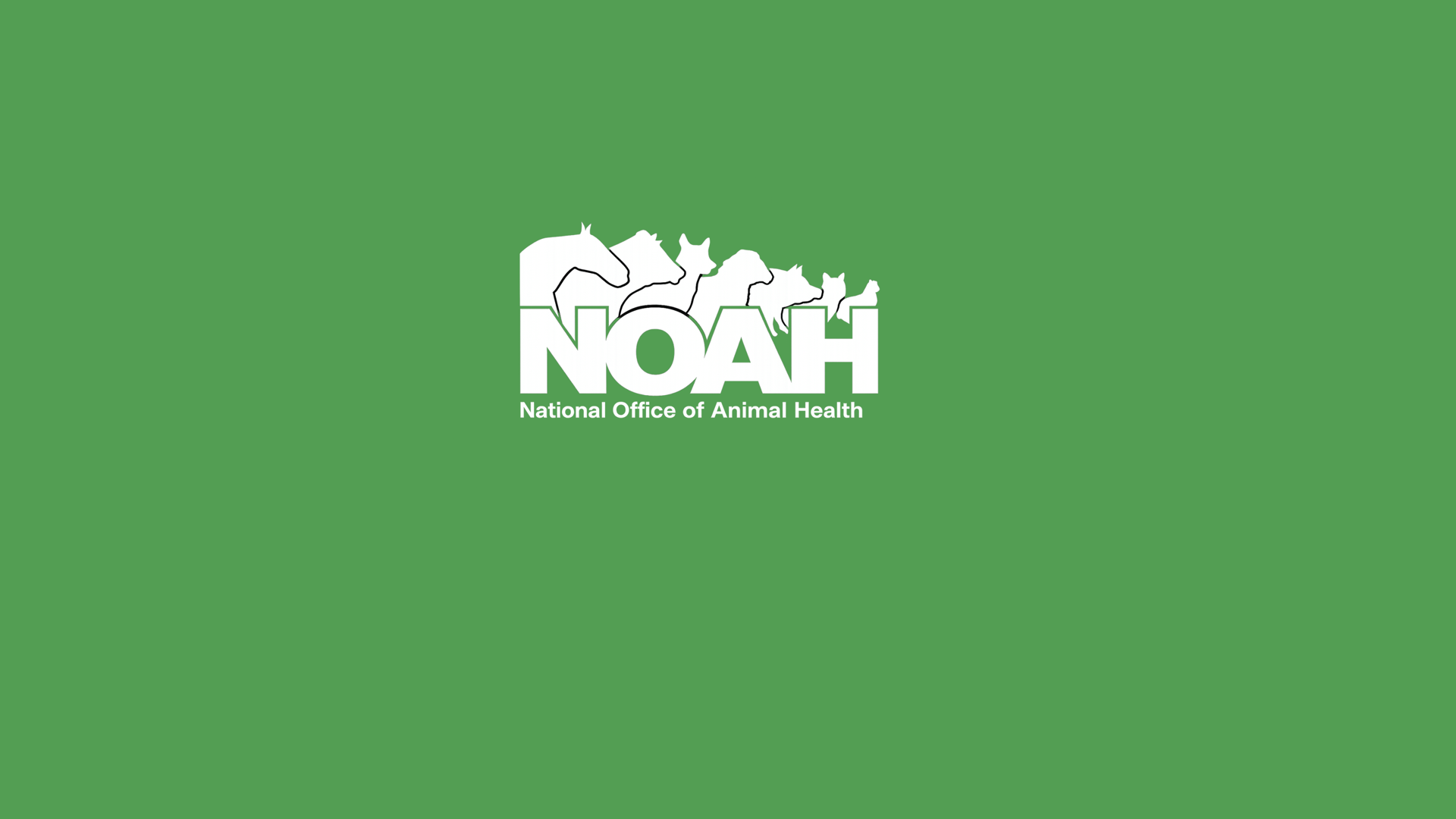NOAH Triangle Header