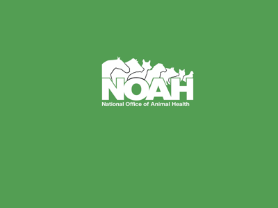 NOAH Triangle Header